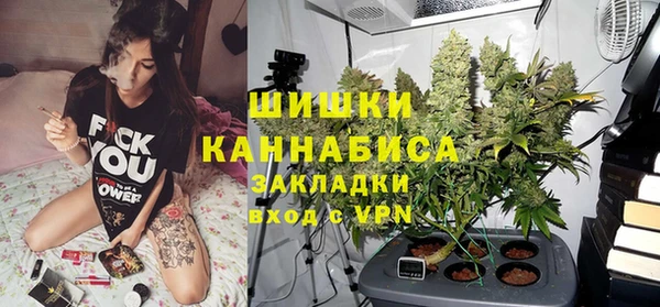 дмт Козельск