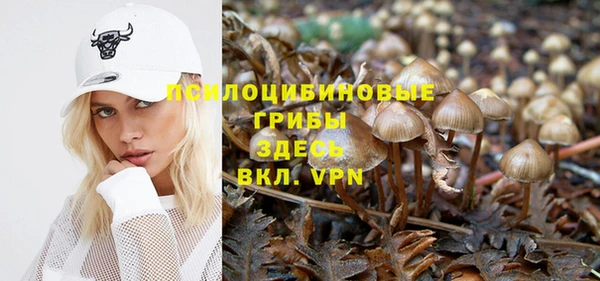 герыч Кинешма