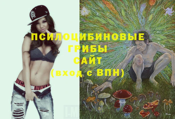 трава Киреевск
