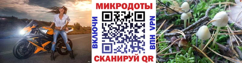 Галлюциногенные грибы Cubensis  где купить наркоту  Оренбург 