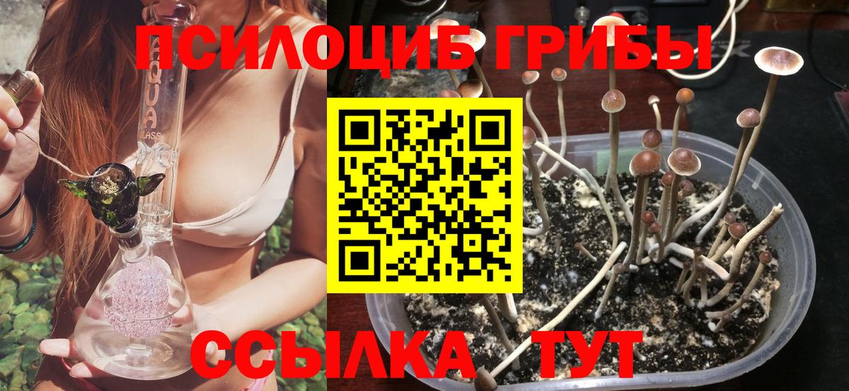 Псилоцибиновые грибы MAGIC MUSHROOMS Оренбург