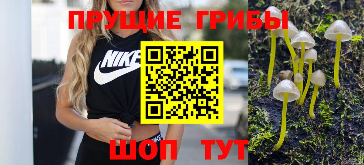 Галлюциногенные грибы прущие грибы  Вход с VPN  где найти   Оренбург 